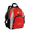 High Sierra Impact Daypack